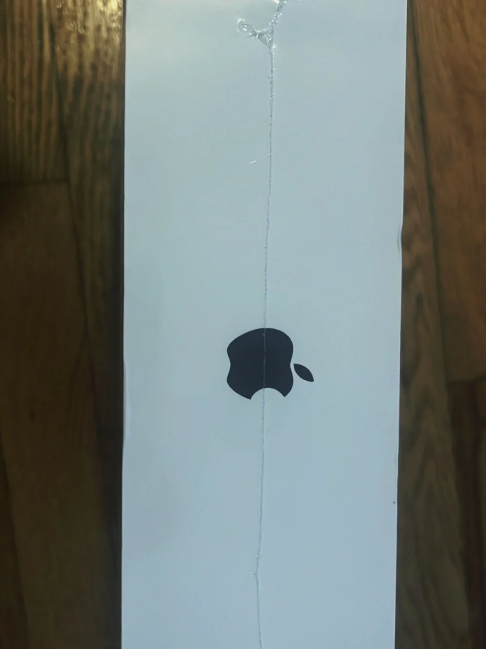AirPod Maxes(Black)